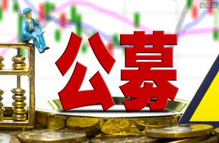公募基金投资信用衍生品指引发布 筑牢资本安全运行防线